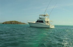 43' Hatteras 43 Convertible 1979 - 
