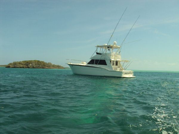 43' Hatteras 43 Convertible 1979 - 